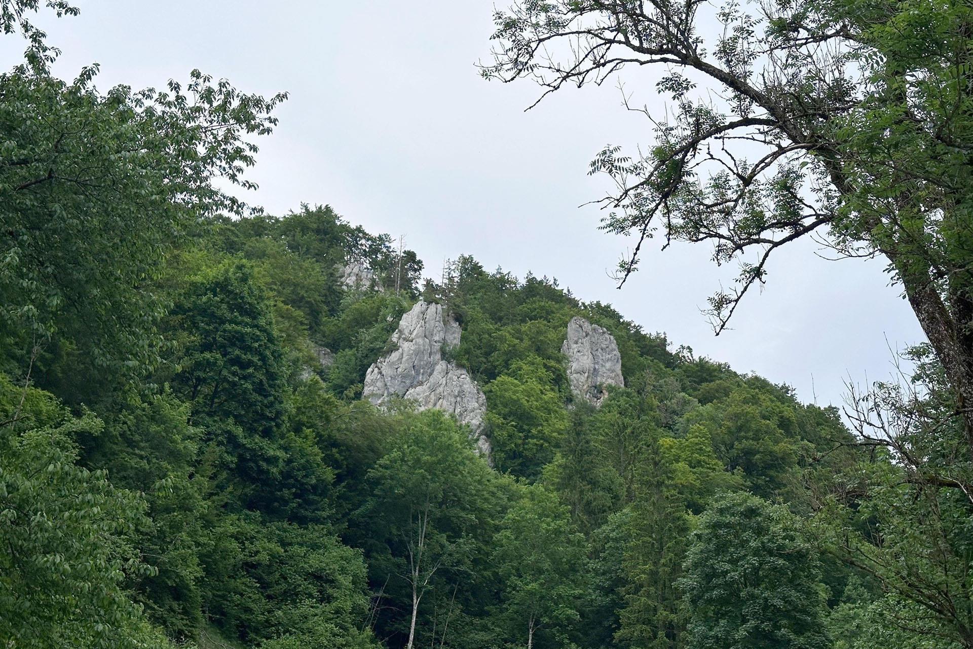 Ausblick