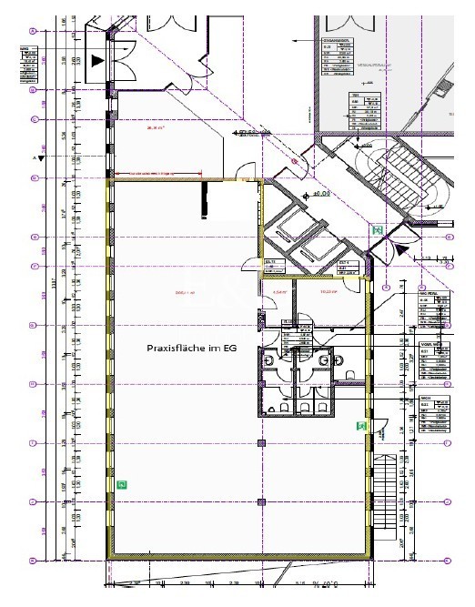 Erdgeschoss Praxisfläche