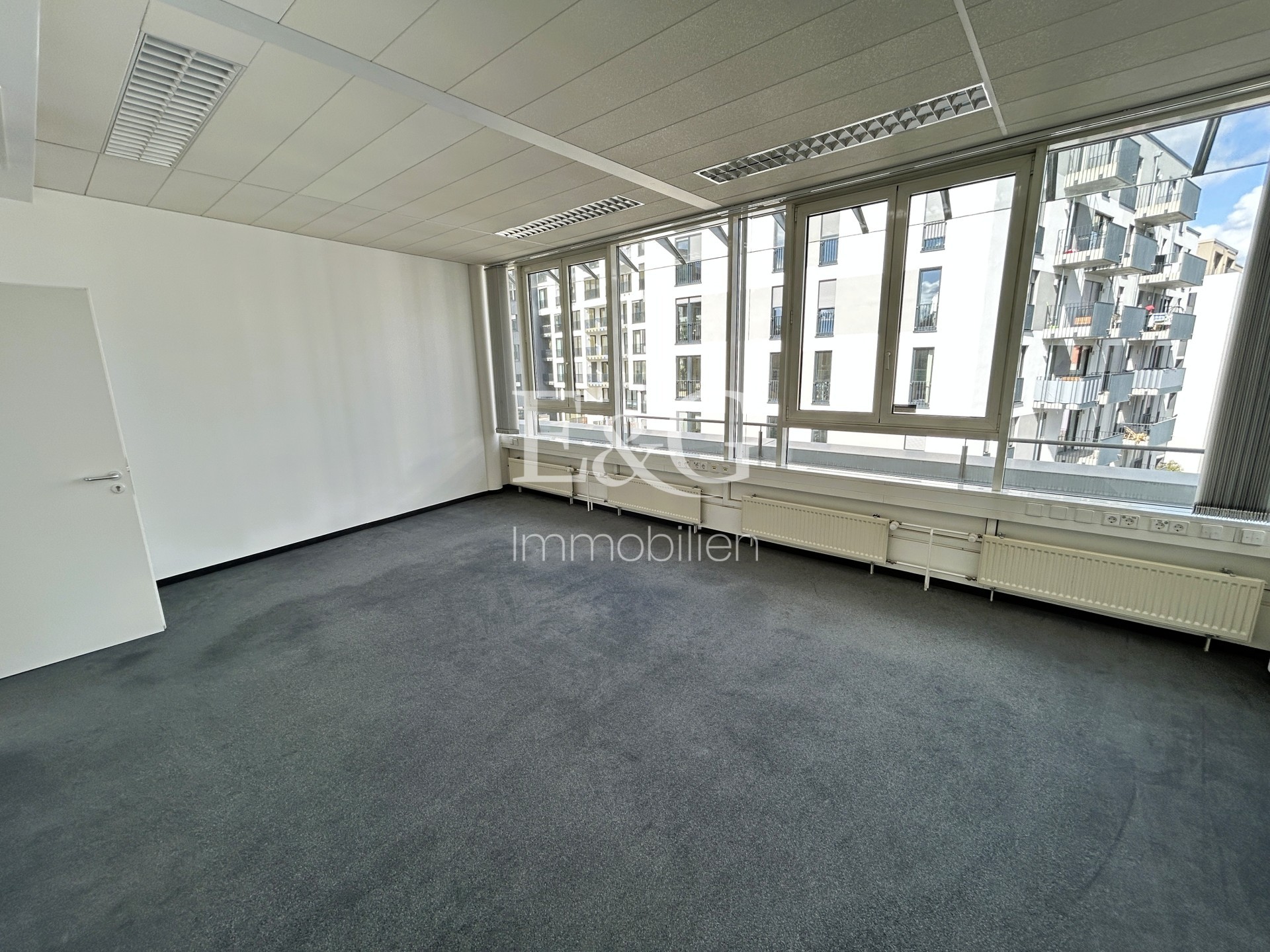 Bilder-Büro-1