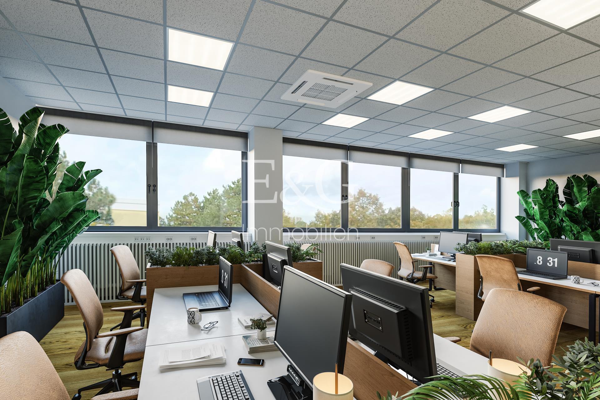 Open Space Musterbüro